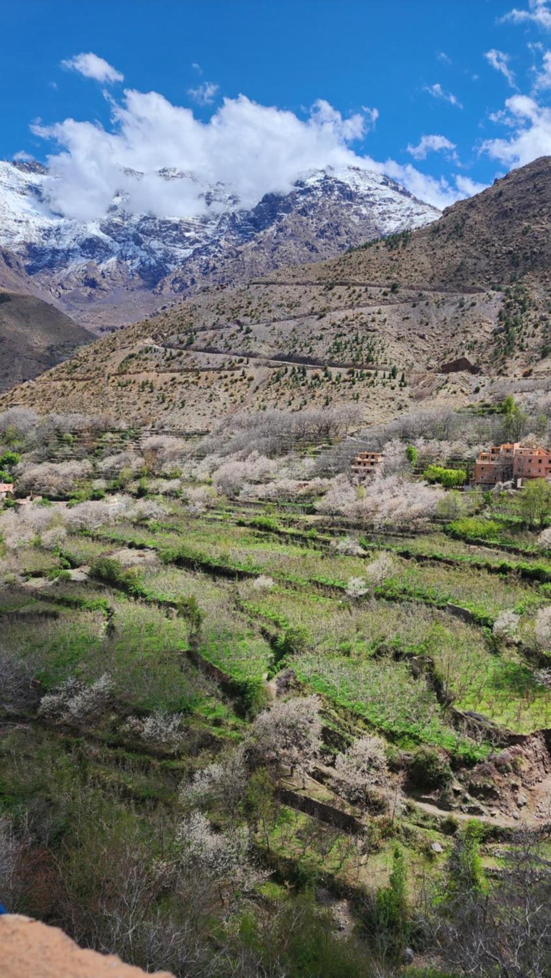 Gîte Atlas Mazik Imlil  Exterior foto