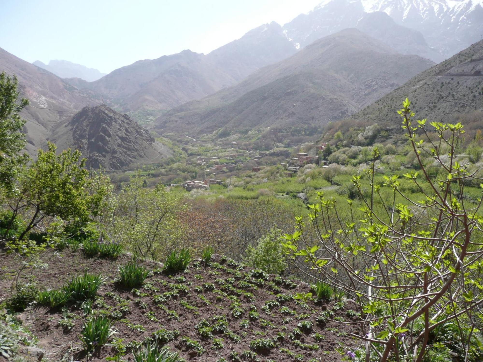 Gîte Atlas Mazik Imlil  Exterior foto